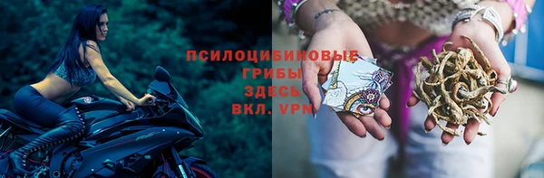 ешки Абдулино